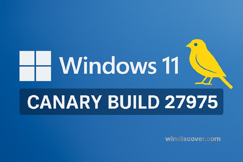 Canary 分支 Windows 11 Build 27975 开始推送 - WinDiscover