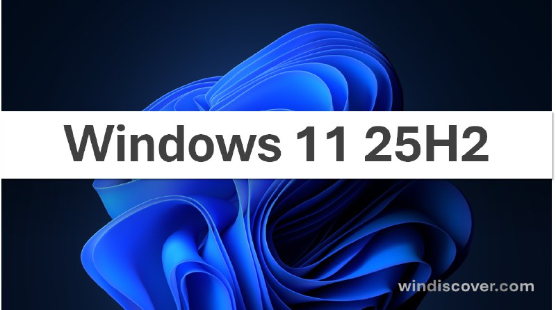 Windows 11 25H2 将强制使用 CodeQL 进行驱动程序静态分析 - WinDiscover