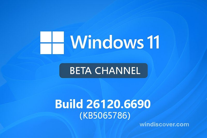 Build 分支 Windows 11 Build 26120.6690（KB5065786）开始推送 - WinDiscover